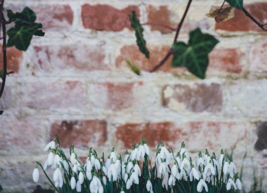 annie-spratt-204871-unsplash